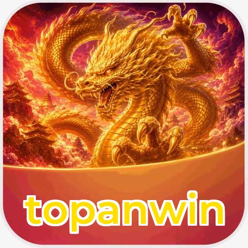 topanwin Verification