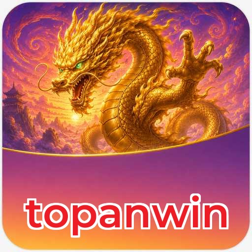 topanwin Components
